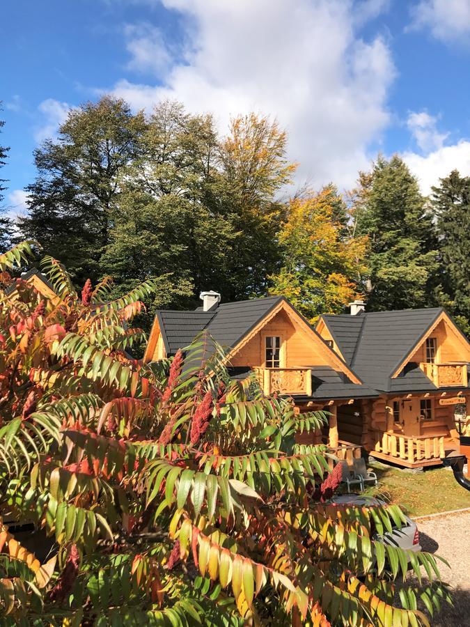 Goralska Osada Karpacz - Domki Lux Exterior photo