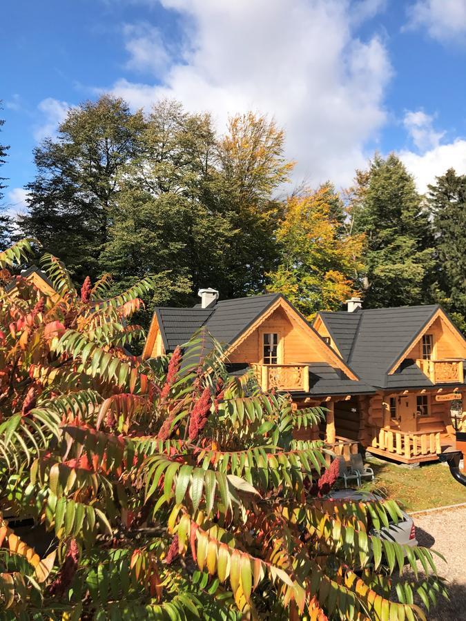 Goralska Osada Karpacz - Domki Lux Villa Exterior photo